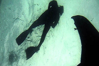 Snorkeleando en Cozumel